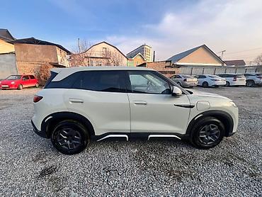 BYD: BYD Yuan: 2024 г., Вариатор, Электромобиль, Кроссовер — 8