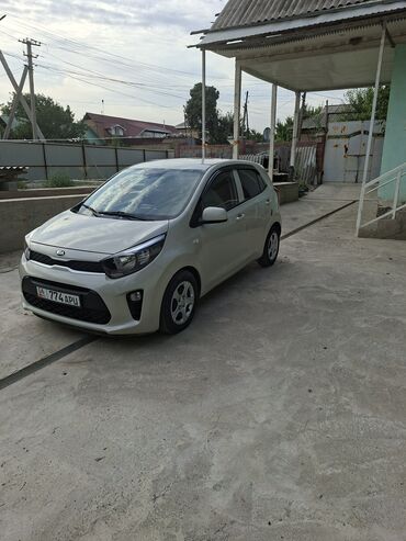 кичине машина: Пятидверный хэтчбек Kia Picanto светло-серого цвета, компактный