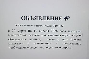 Баран, овца: Продаю | Овца (самка) | Меринос | Для разведения | Матка — 11