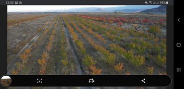 Продажа участков: 160000 соток, Для сельского хозяйства at lalafo.kg — 5 Продажа участков: 160000 соток, Для сельского хозяйства — 5