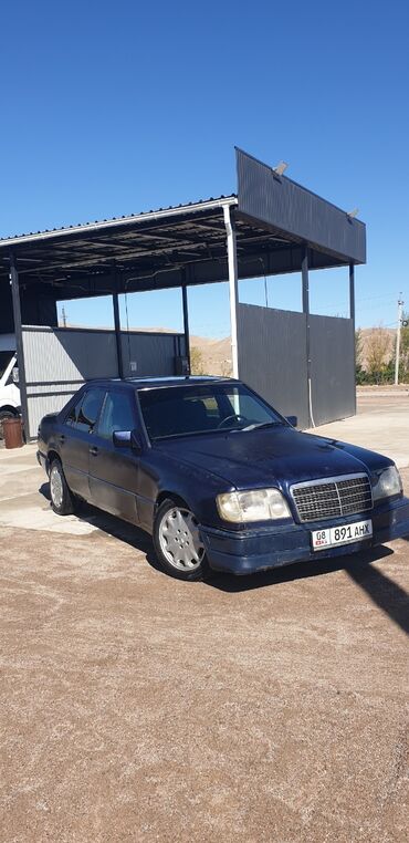 Mercedes-Benz: Mercedes-Benz 220: 1991 г., 2.5 л, Механика, Дизель, Седан