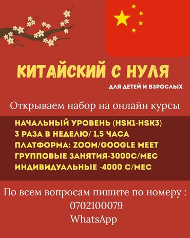 компьютерная грамотность курсы: Тил курстары Кытайча Чоңдор үчүн, Балдар үчүн