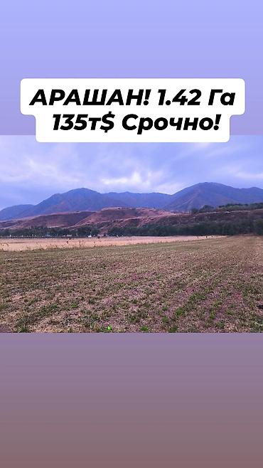 142 соток, Для бизнеса, Тех паспорт, Генеральная доверенность
