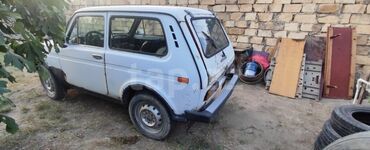 VAZ (LADA): VAZ (LADA) 4x4 Niva: 0.6 l | 1984 il 22244 km Sedan — 7