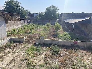 Долгосрочная аренда домов: 750 м², 12 комнат, Ак-Тилек мкр — 25