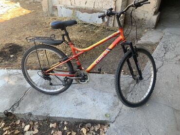 настенный турник: Тоо велосипеди, Велосипед алкагы M (156 - 178 см), Болот