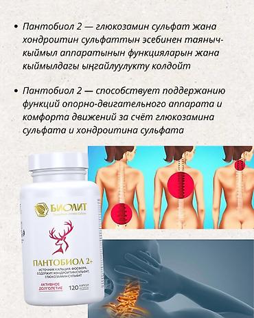 Витамины и БАДы: Натуральные комплексы Биолит: 1) Арктавит – экстракт корня лопуха - — 31