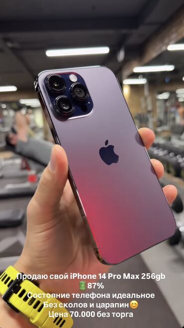 Apple iPhone: IPhone 14 Pro Max, Б/у, 256 ГБ, Deep Purple, Защитное стекло, Чехол, Кабель, 87 %