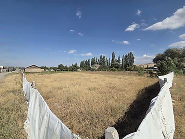 20 соток, Курулуш, Кызыл китеп — 3