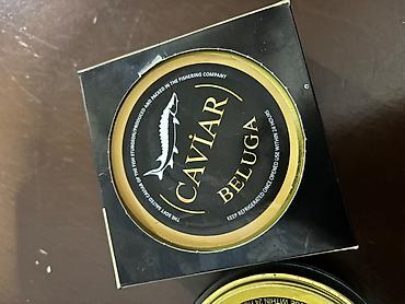 beluqa balığı: Beluga kürü (Caviar Beluga) — 2
