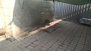 в родной краске: Дом на ходишься гес2, на Алматинской Наружная отделка и ремонт — 9