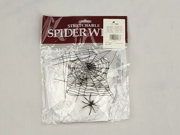 Rozciągliwa pajęczyna z pająkiem, idealna do dekoracji na Halloween