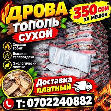 Пикник үчүн товарлар: Отун Терек, Акылуу жеткирүү — 1