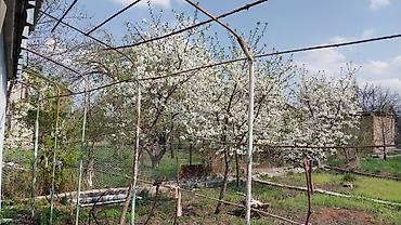 Продажа дач: 🏡 Срочно!!!Продается ухоженная дача. 📌 О доме: 	•	Кирпичный дом:56кв.м — 12