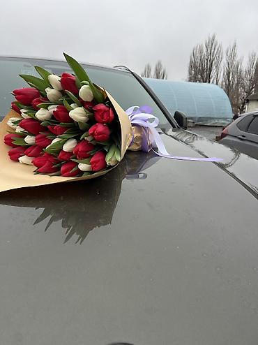 Другие услуги в сфере красоты и здоровья: Тюльпаны по 100 сом 
Оформим, доставим во время ☺️ 
От 200 шт 90 сом — 29