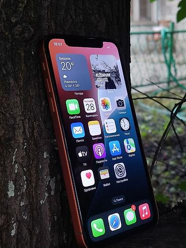 айфон 12 купить в бишкеке: IPhone 17 Pro, Б/у, 64 ГБ, Оранжевый, Зарядное устройство, Защитное стекло, 100 % — 1