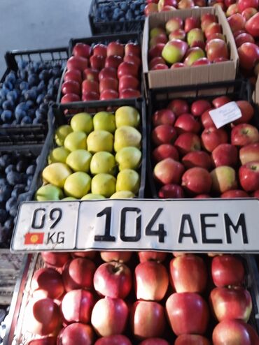 экспресс тест на вич бишкек: Ас Салам алейкум алейкум жаамат ушул номерди тавып алдым дордой