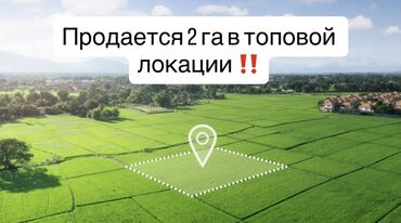 участок вдоль трассы: Для сельского хозяйства