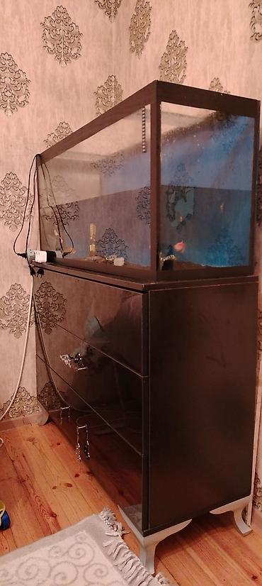 akvarium baliq novləri: Böyük ölçülü şüşə akvarium + şkaf dəsti - Ölçü: 120 sm uzunluq, 50 — 3
