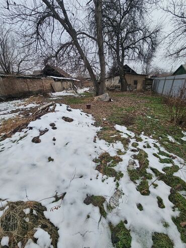 Продажа домов: Дом, 45 м², 2 комнаты, Собственник, Старый ремонт — 5