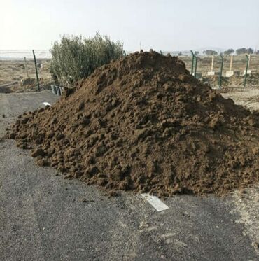Bitki torpaqları: Qara Torpaq Peyin sifarisi.Şamaxi Ismayilli rayonlarindan istəyə uygun — 9