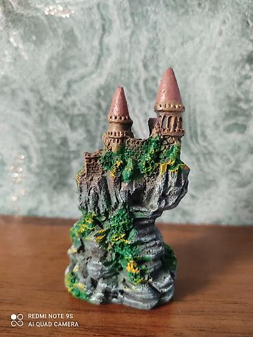 Аквариумы: Водоросли живые: Анубиас Бартера, нана ( цветут белыми и розовыми — 8