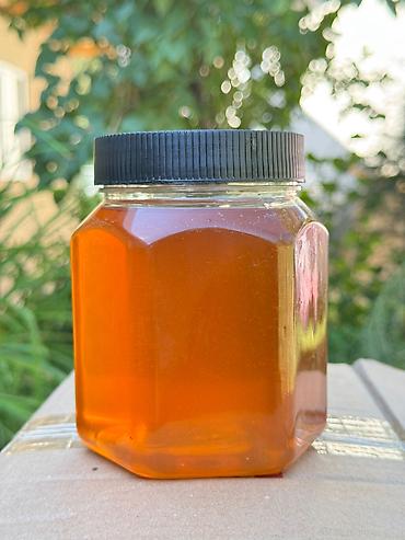 пасечник: 🍯 Натуральный горный мёд из Токтогула — с пасеки, без сиропа — 4