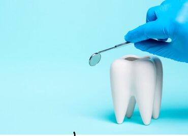 первая стоматология бишкек цены: Врачи | Стоматолог