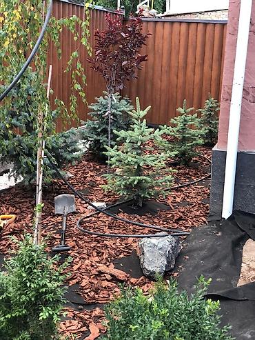 Газон: Автополив газона — легко и удобно! Установим систему автополива под — 9