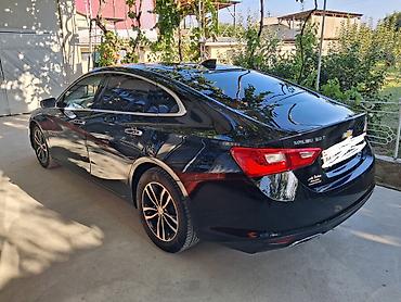 devo matiz: Chevrolet Malibu: 2015 г., 2 л, Автомат, Бензин, Седан — 3
