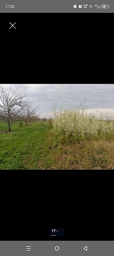 Torpaq sahələrinin satışı: Kənd təsərrüfatı — 16
