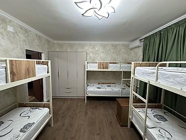 Хостелы: Новый уютный хостел в центре Бишкека — 8