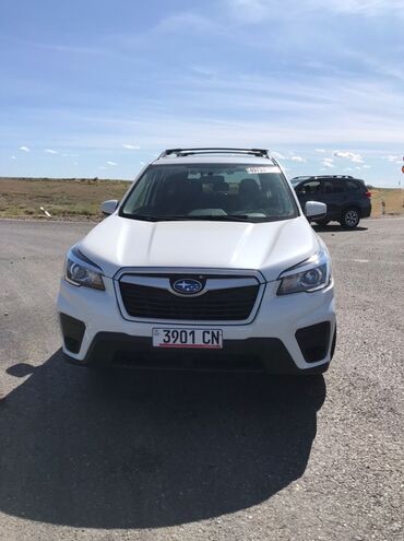 форестер 2015: Subaru Forester: 2019 г., 2.5 л, Автомат, Бензин, Кроссовер