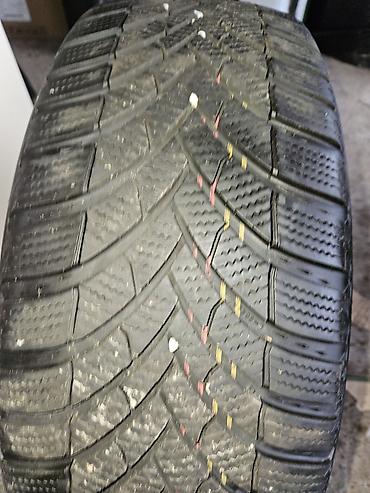Gume i felne: Zimske gume Semperit Speed-Grip 5 Cena za 4 kom - Dimenzije: 205/55 — 14