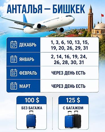 ninebot max g3: Курсы турецкого языка — 3