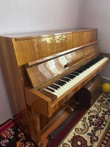 барабан инструмент: Пианино,все клавиши работает,
Город Бишкек
250$