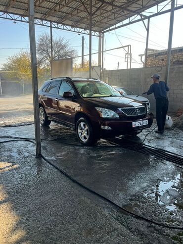 продаю в связи с переездом: Lexus RX: 2008 г., Кроссовер
