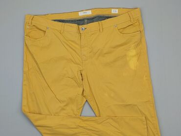 Trousers: Chinos for men, L (EU 40), condition - Satisfying