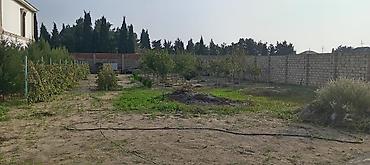 ulguc satisi: 12 sot, Kənd təsərrüfatı, Kupça (Çıxarış) — 2