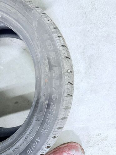 ниско профилные шины р14: Шины 205 / 55 / R 17, Зимняя шипованная, Легковые, Sailun
