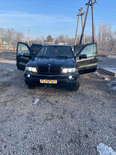 машина авди: BMW X5: 2002 г., 3 л, Типтроник, Дизель, Кроссовер