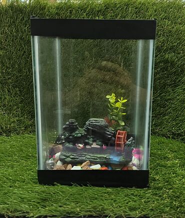 Akvariumlar: Dördbucaq akvarium, Boş, 5 l