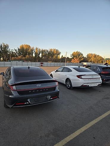 sanata dn8: Hyundai Sonata: 2020 г., 2 л, Автомат, Газ, Седан — 2