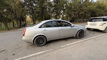 nissan p12: Nissan Primera: 2002 г., 2.2 л, Механика, Дизель, Седан — 4
