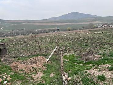 Продажа участков: 80 соток, Для сельского хозяйства — 6