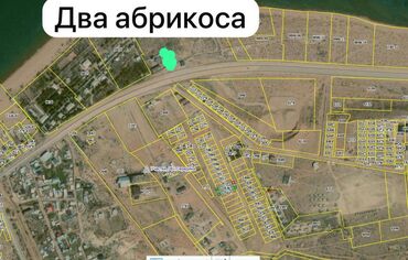 тамчы гостевой дом: 7 соток, Бизнес үчүн, Кызыл китеп