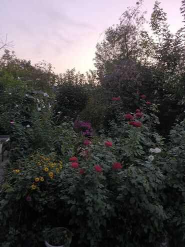 Продажа домов: Дом, 67 м², 4 комнаты, Собственник, Косметический ремонт — 10