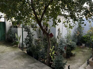 Həyət evləri və villaların satışı: 4 otaqlı, 250 kv. m, Kredit yoxdur, Yeni təmirli — 6