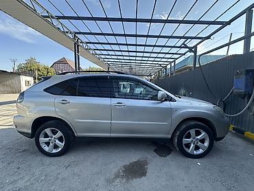 11900: Lexus RX: 2004 г., 3.3 л, Автомат, Бензин, Кроссовер — 8