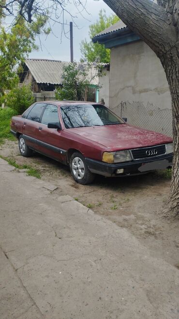 авто телешка: Audi 100: 1989 г., 2.3 л, Механика, Газ, Седан